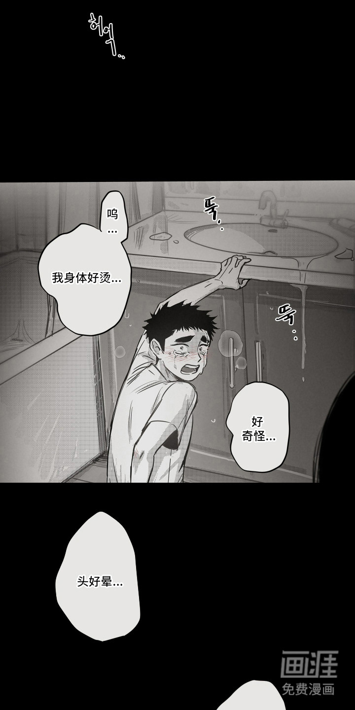 破碎花环之约漫画-图10