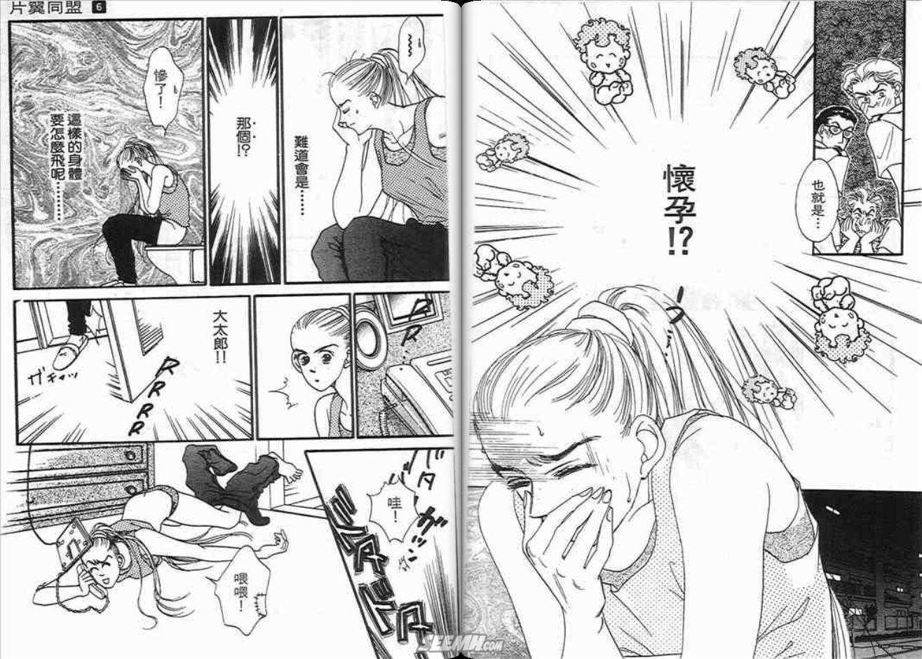 片翼同盟第6卷图