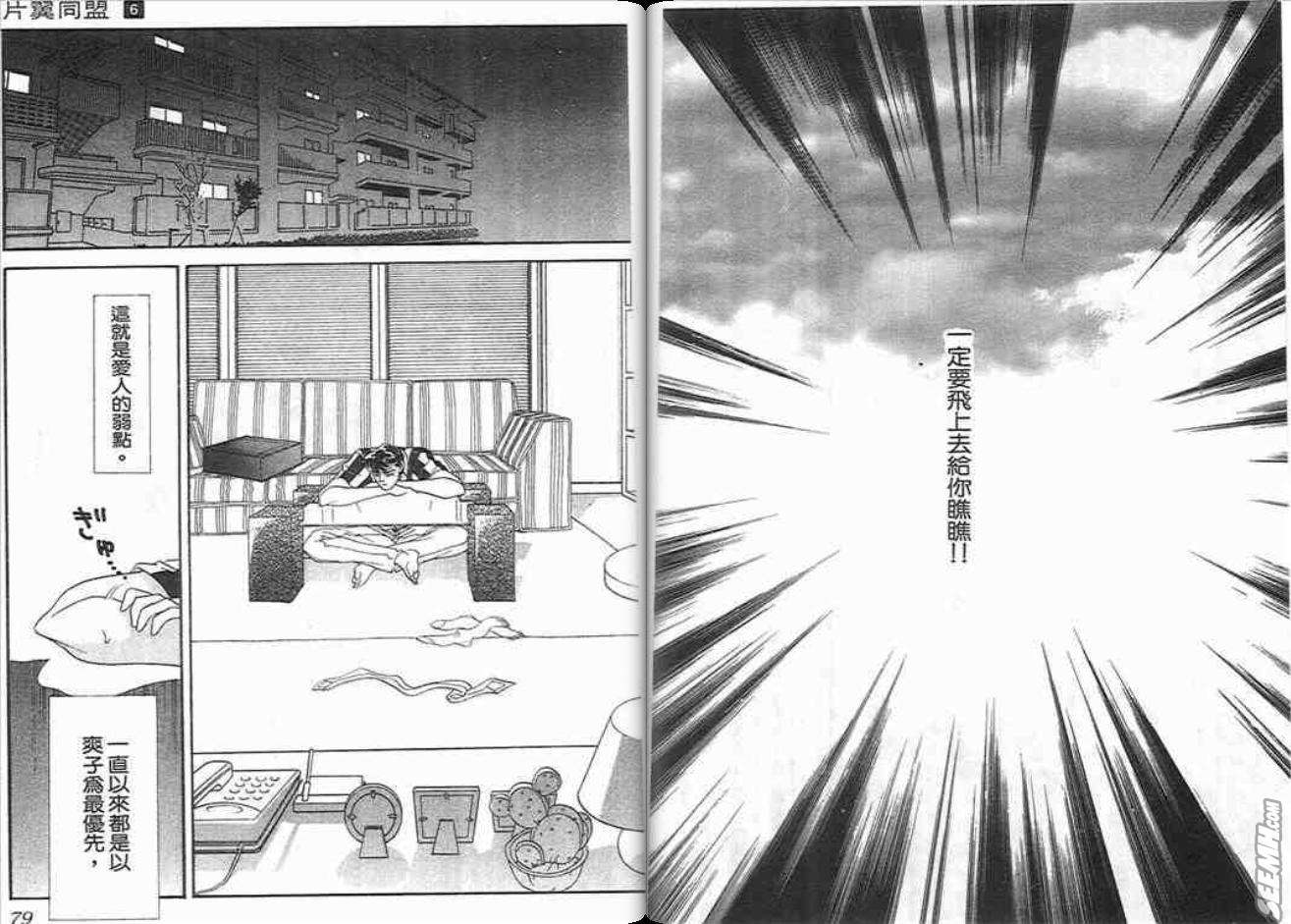 片翼同盟第6卷图