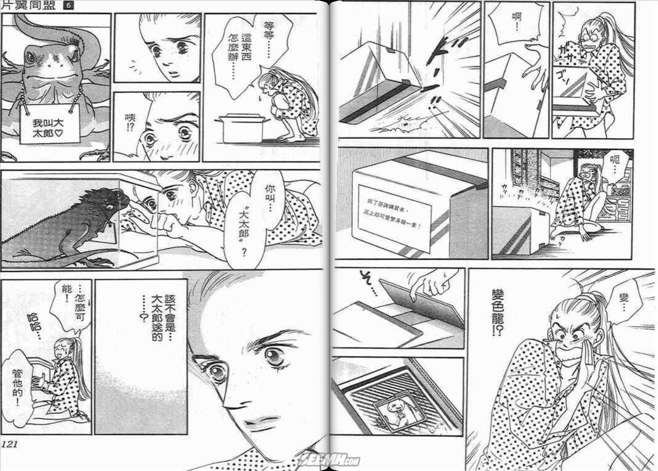 片翼同盟第6卷图