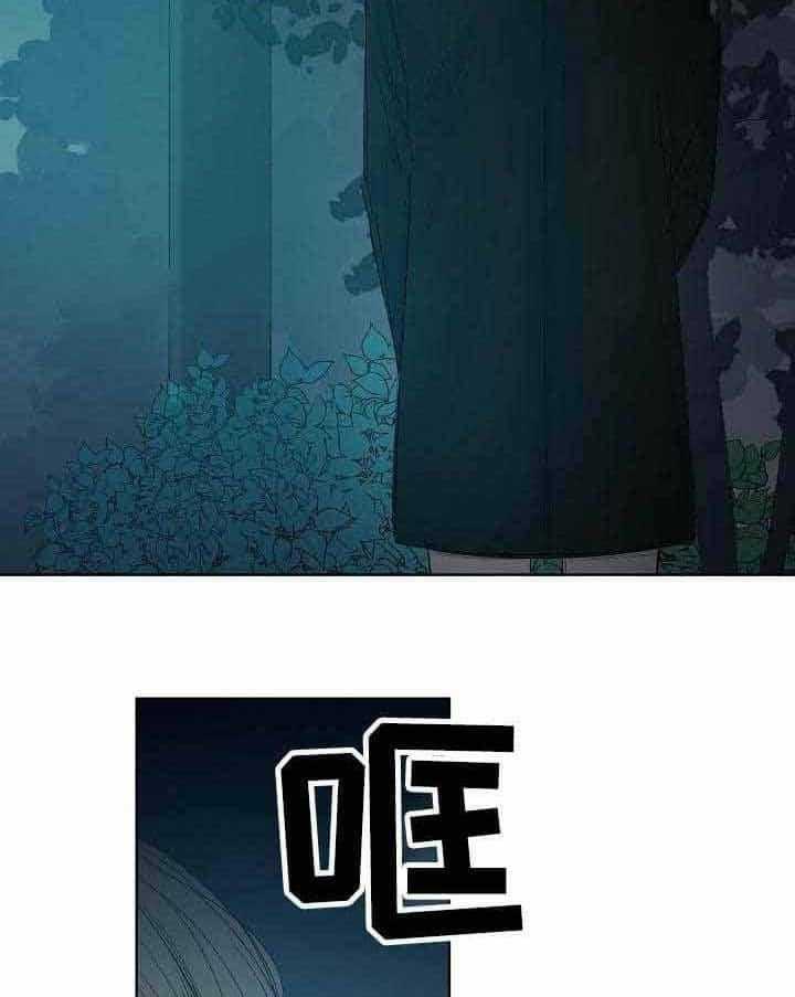 企图深陷第15话图