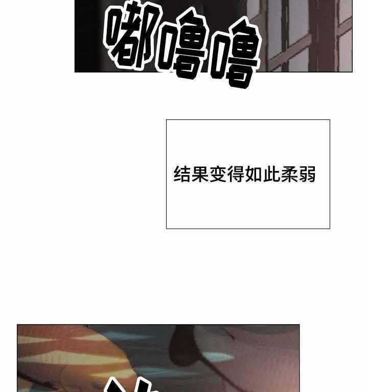 企图深陷第51话图