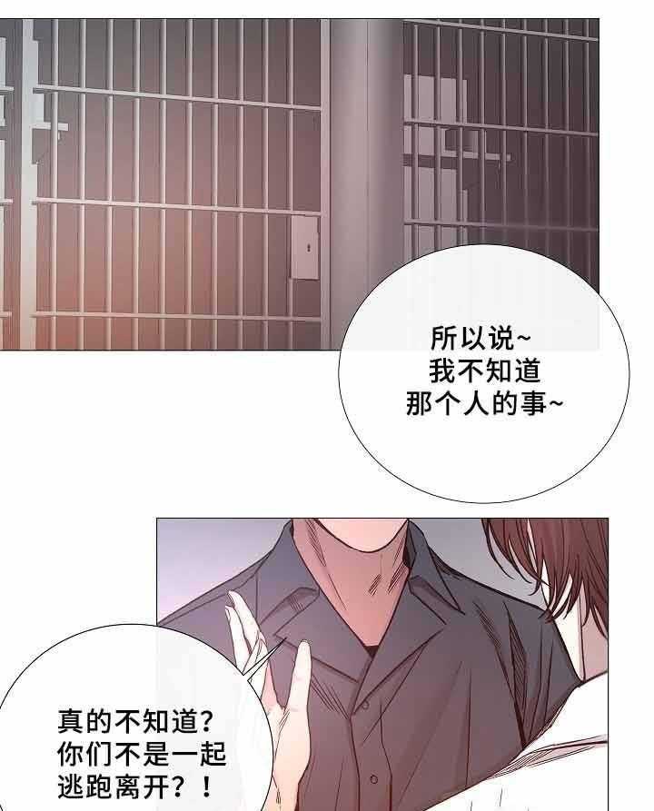 企图深陷第71话图