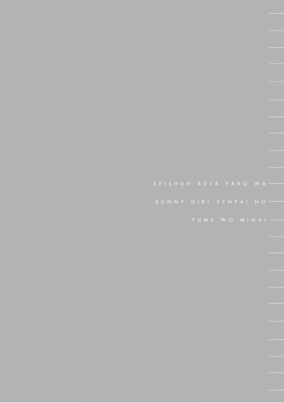 青春期笨蛋不做兔女郎学姐的梦2卷图