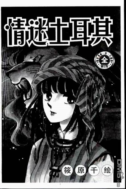 情迷土耳其全1卷图