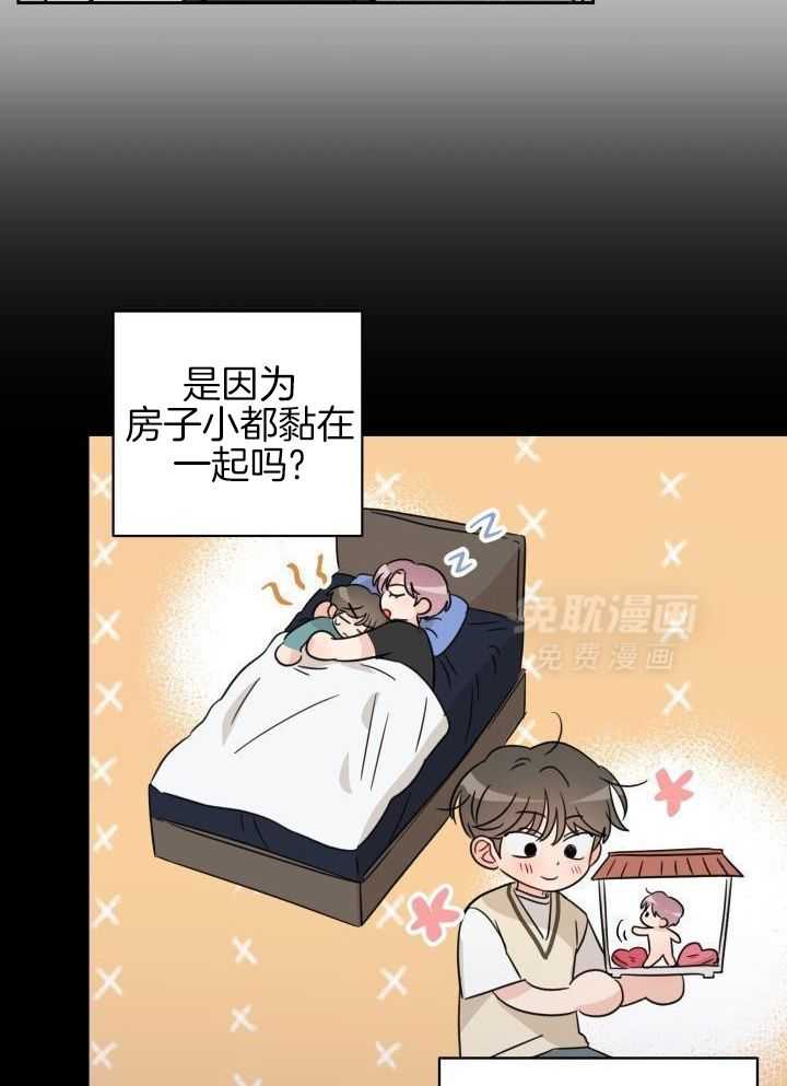 亲密关系第42话图