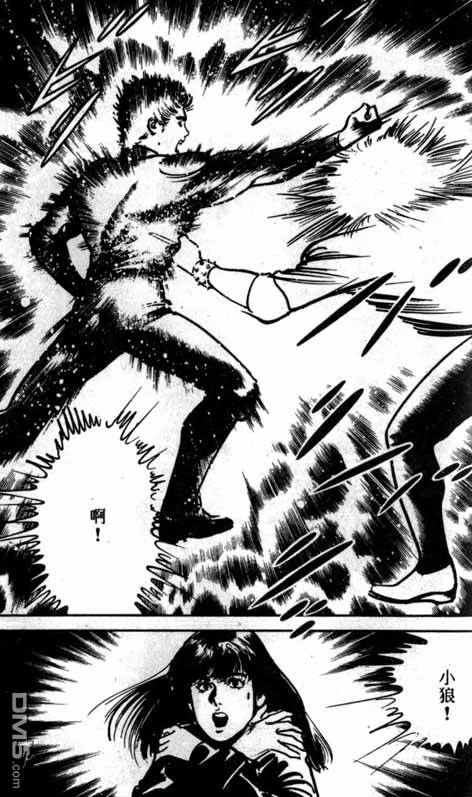 青拳狼第3卷图