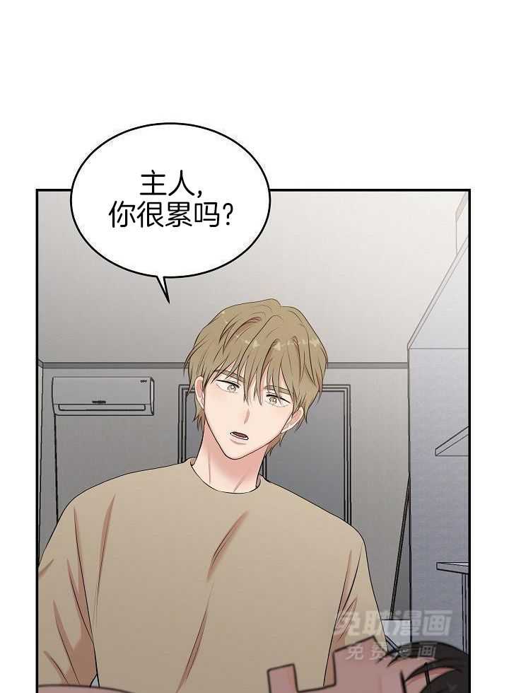 全能AI伴侣第14话图