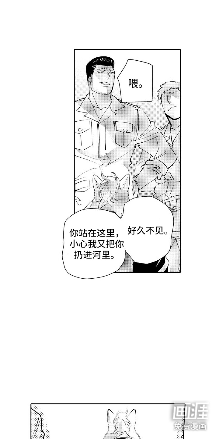 巧克力饼干第10话图