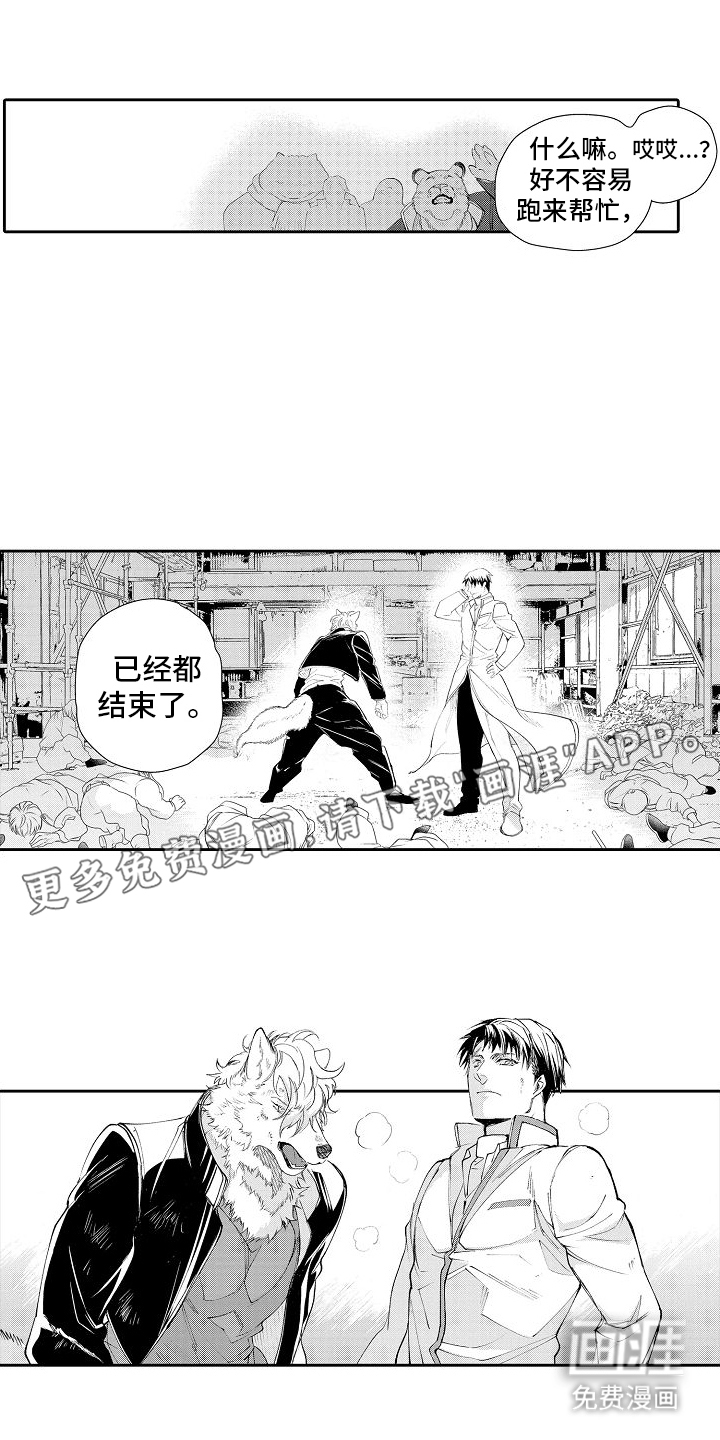 巧克力饼干第12话图