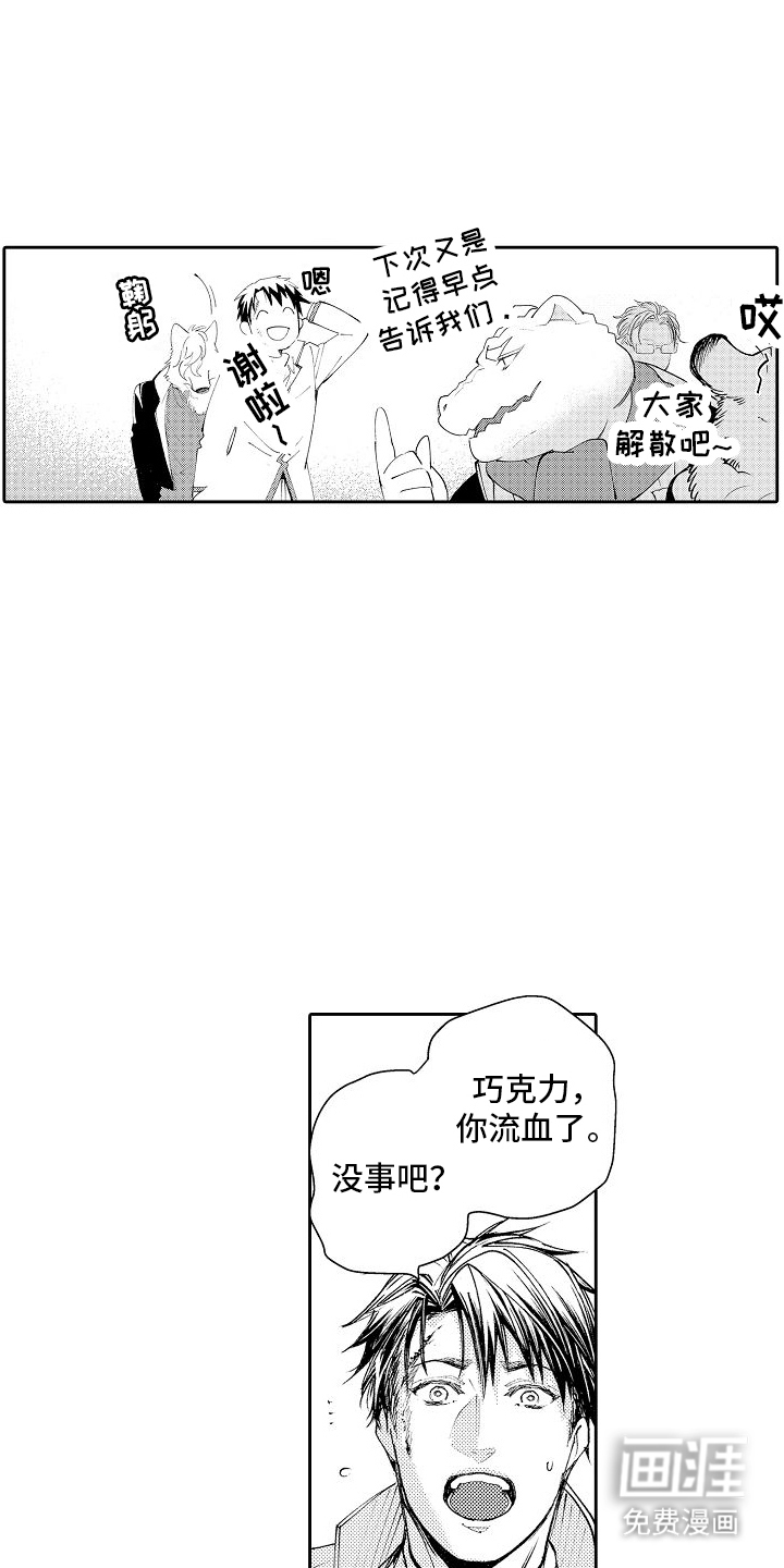 巧克力饼干第12话图