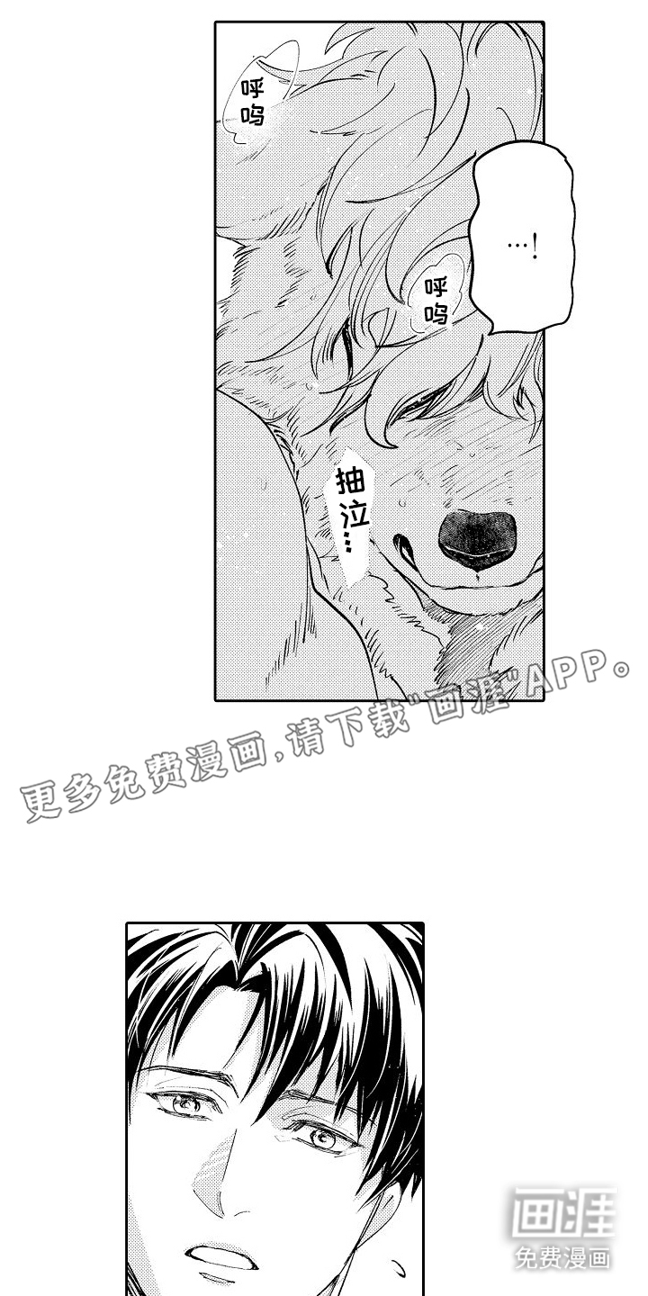 巧克力饼干第4话图