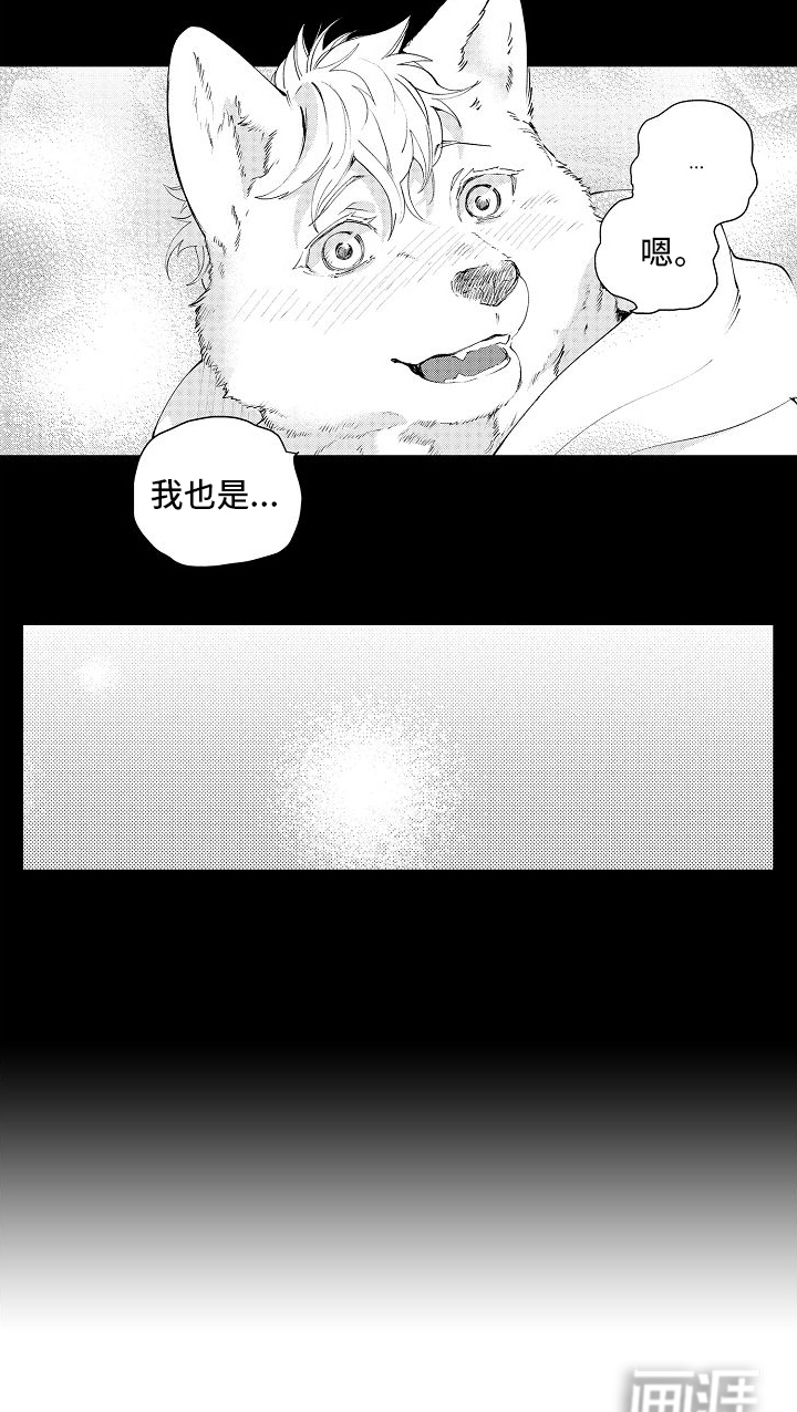 巧克力饼干第4话图