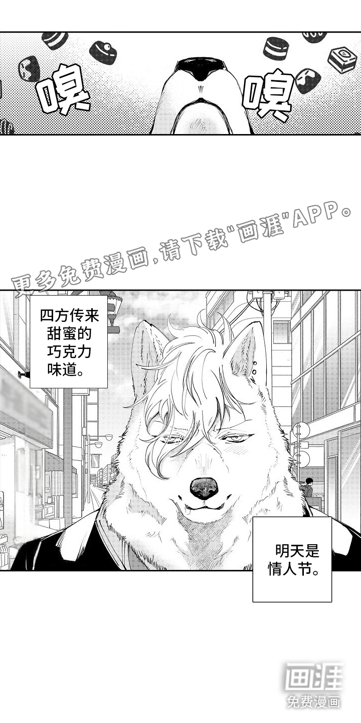 巧克力饼干第9话图