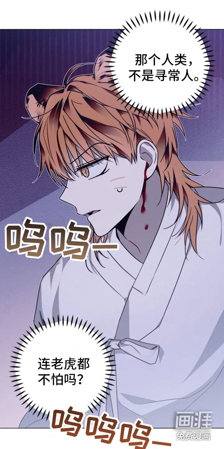 囚兔传第28话图