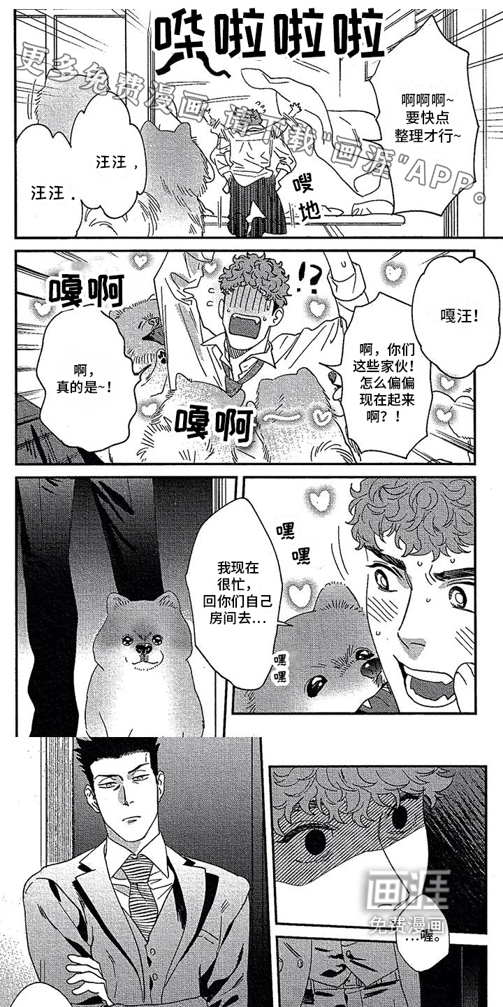 情债难偿第20话图