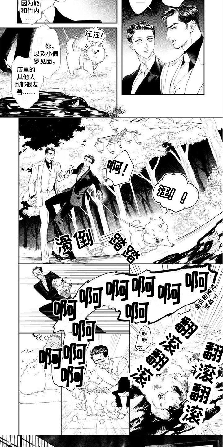 犬系爱人第1话图