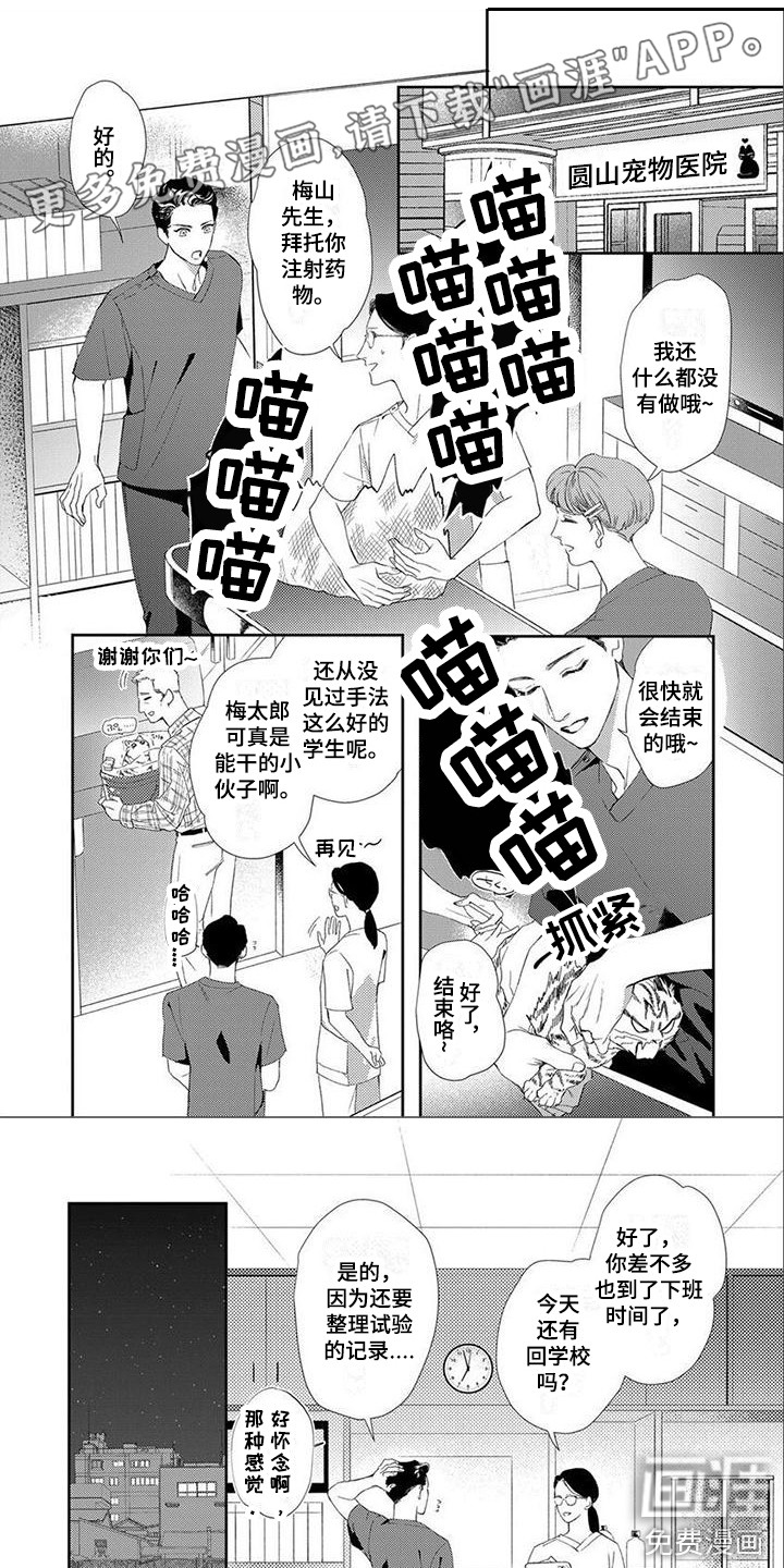 犬系爱人第13话图