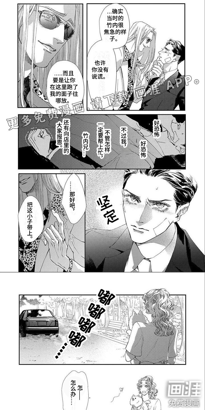 犬系爱人第7话图