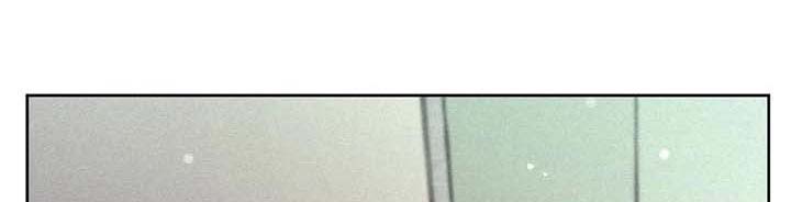 秋牡丹剧场第31话图