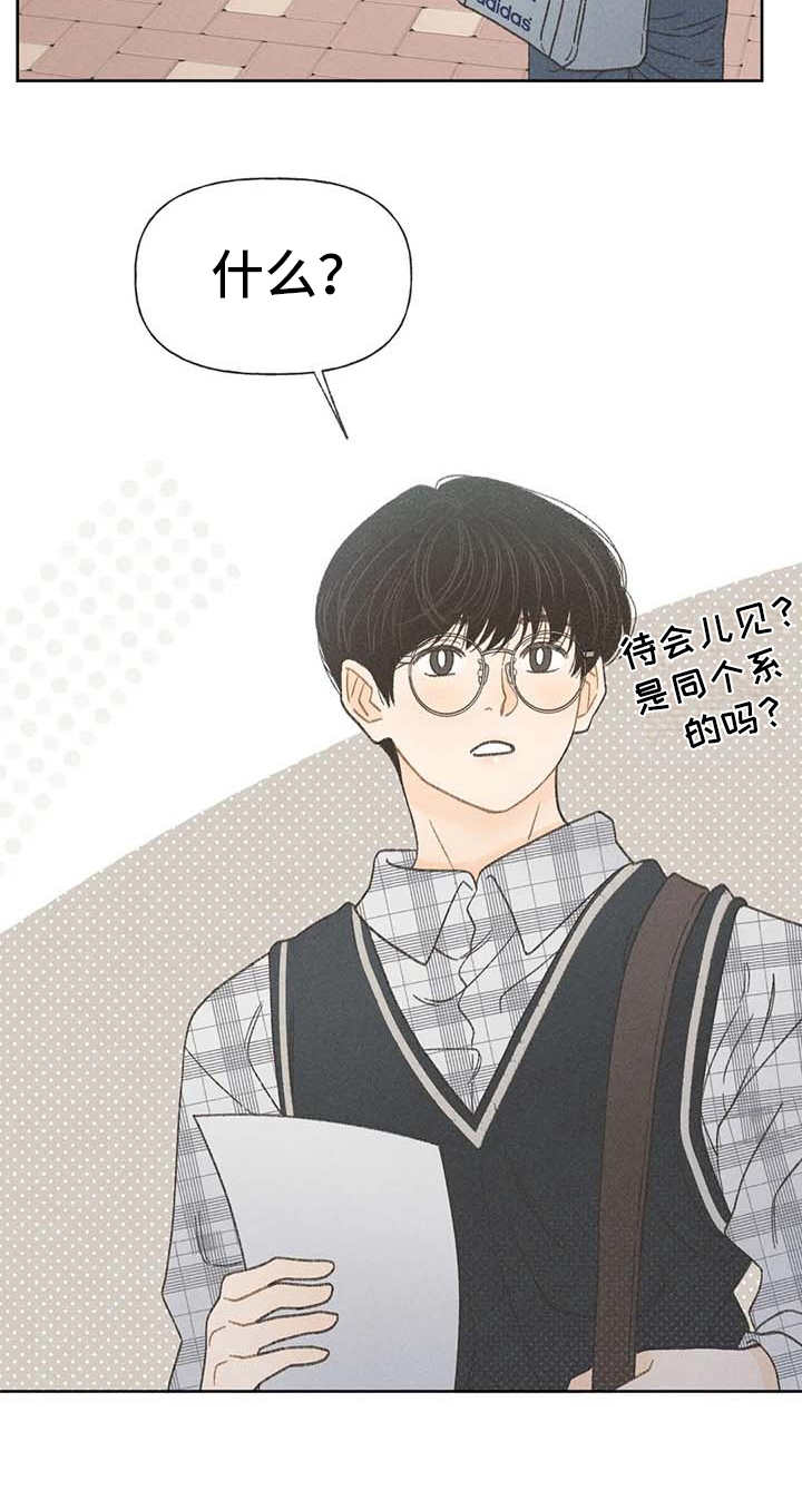 秋牡丹剧场第4话图