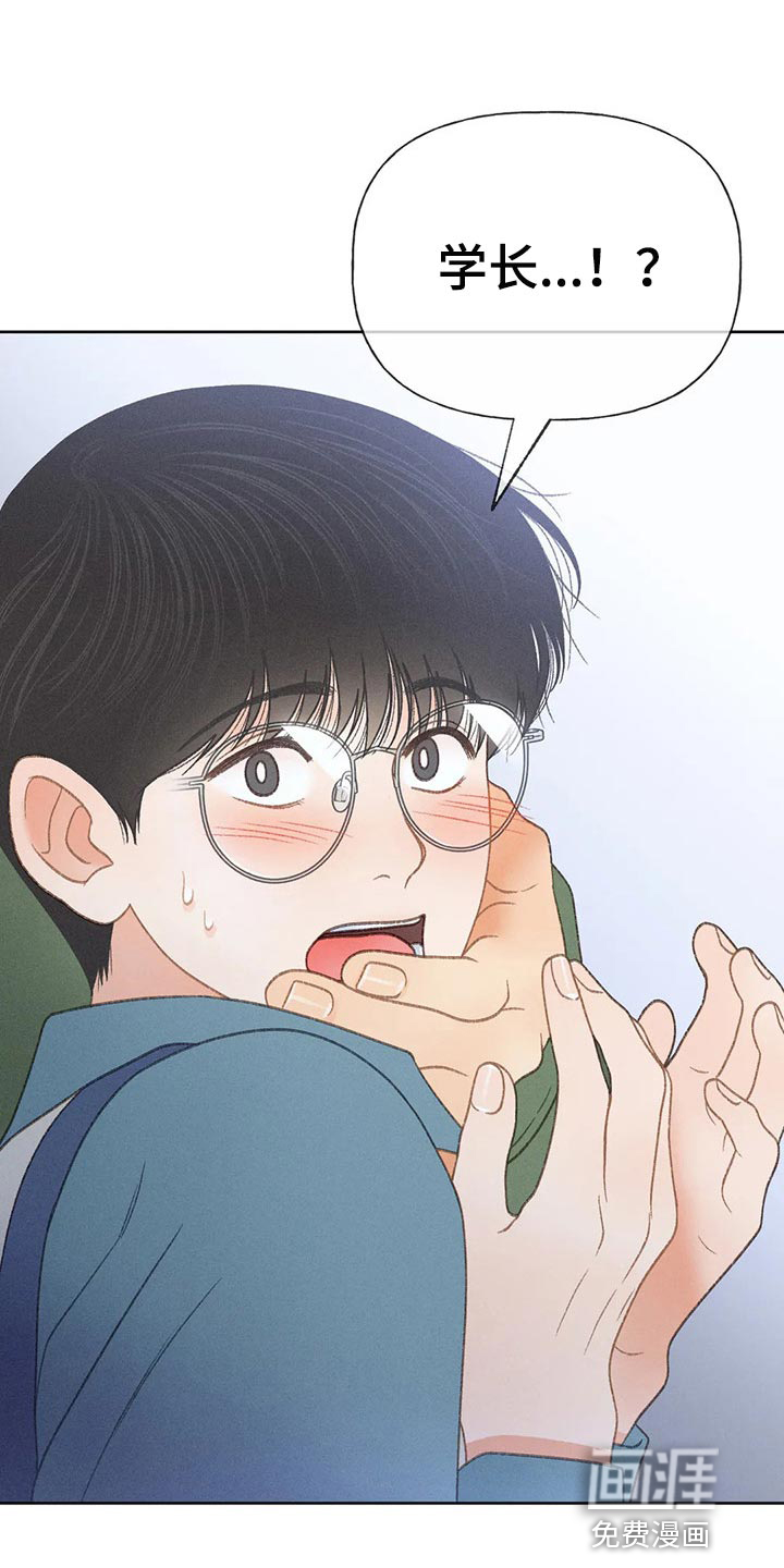 秋牡丹剧场第48话图