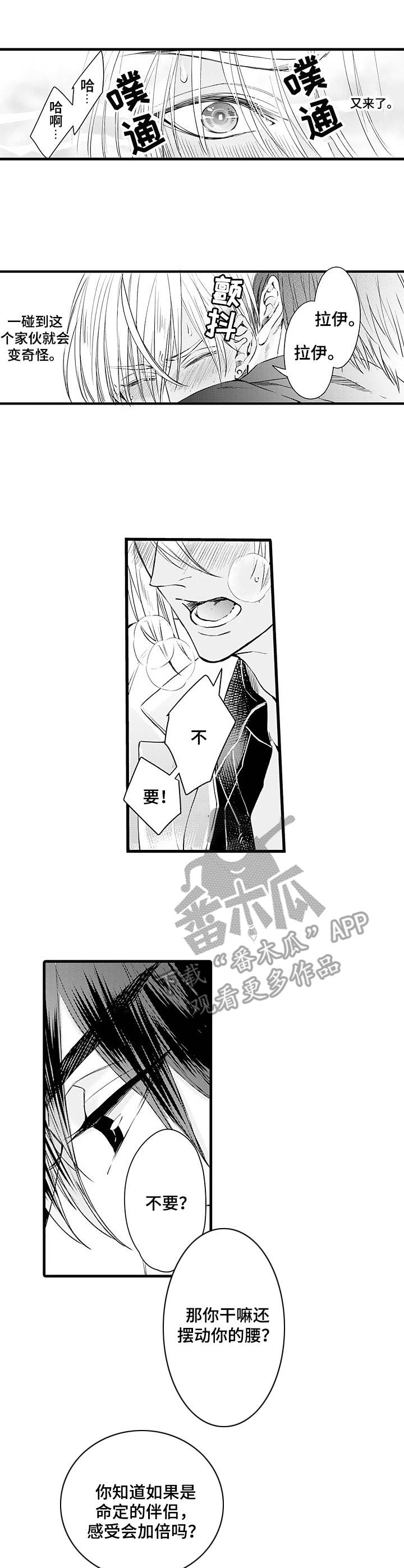 强强对碰第5话图