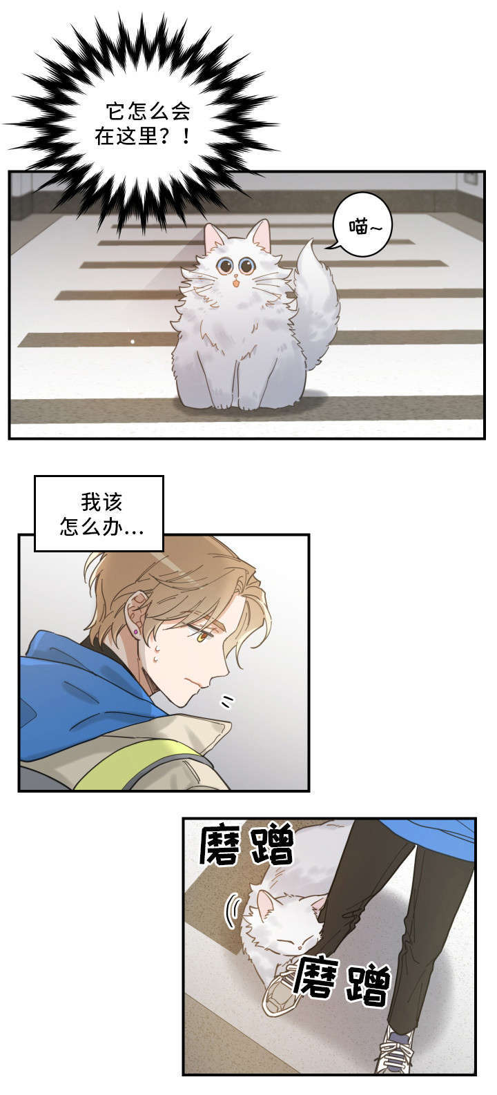 亲爱的喵君第2话图