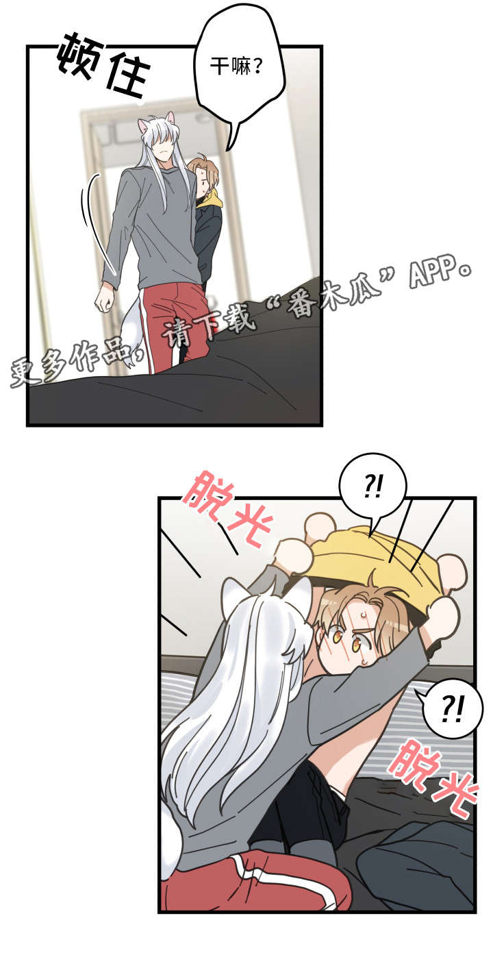 亲爱的喵君第25话图