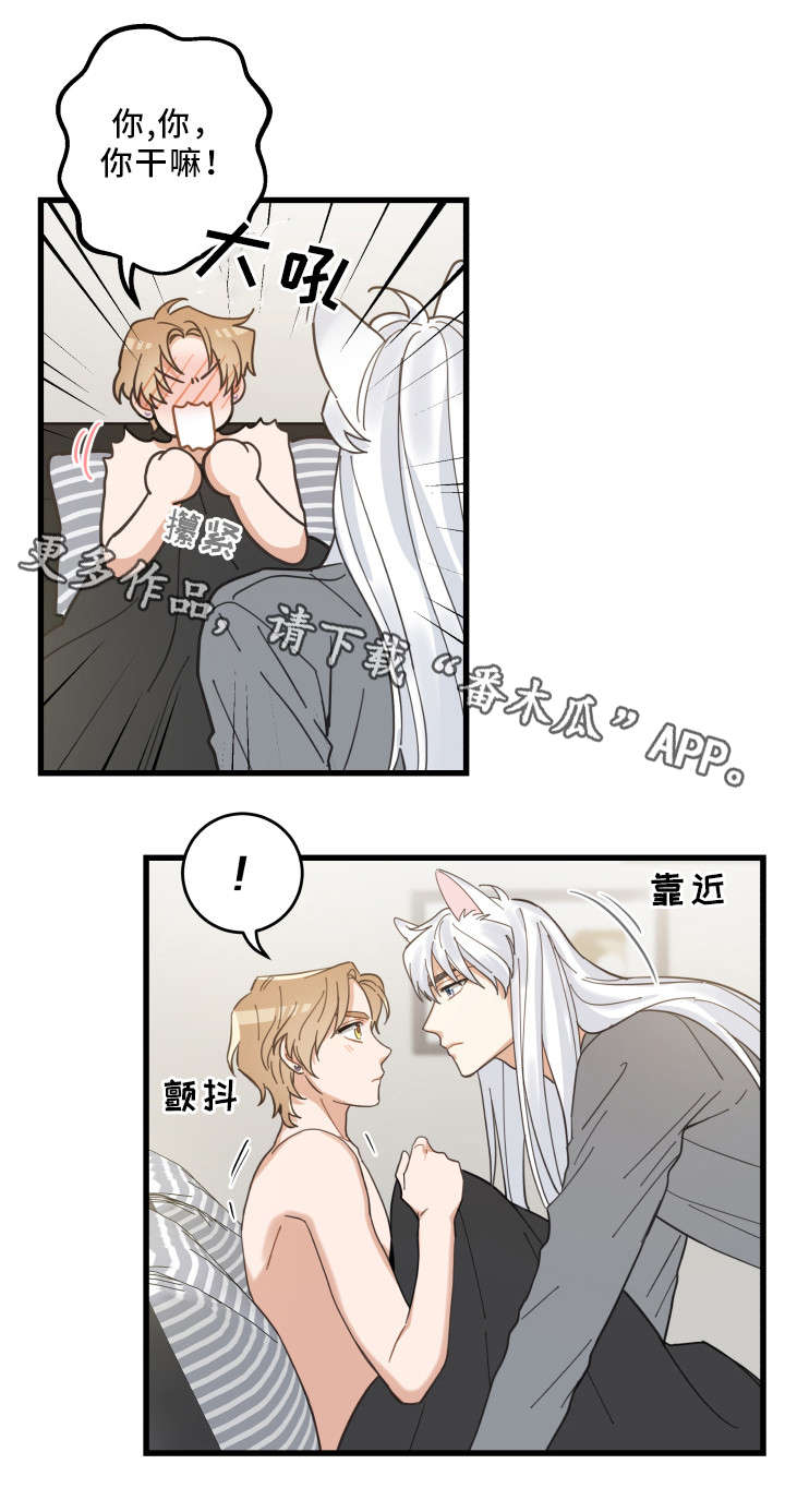 亲爱的喵君第25话图