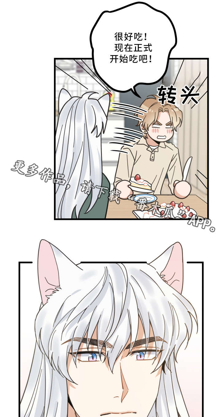 亲爱的喵君第29话图