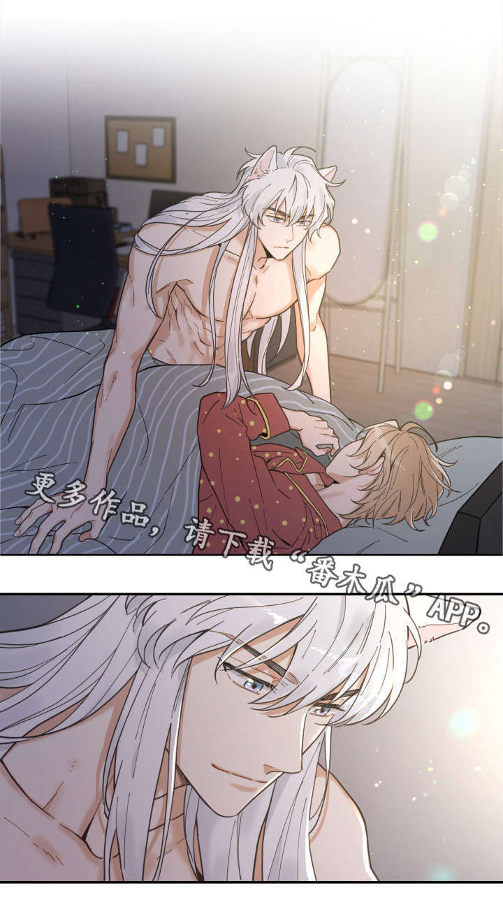 亲爱的喵君第3话图