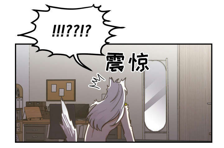 亲爱的喵君第3话图