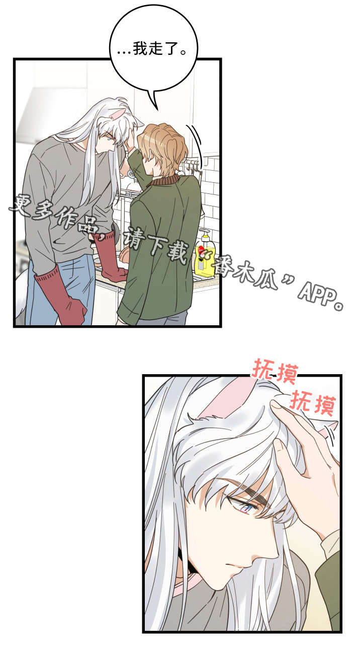 亲爱的喵君第31话图