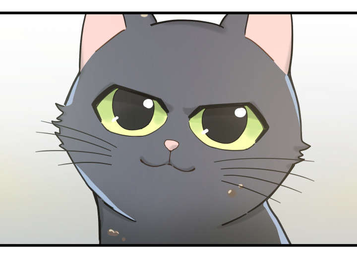 亲爱的喵君第31话图