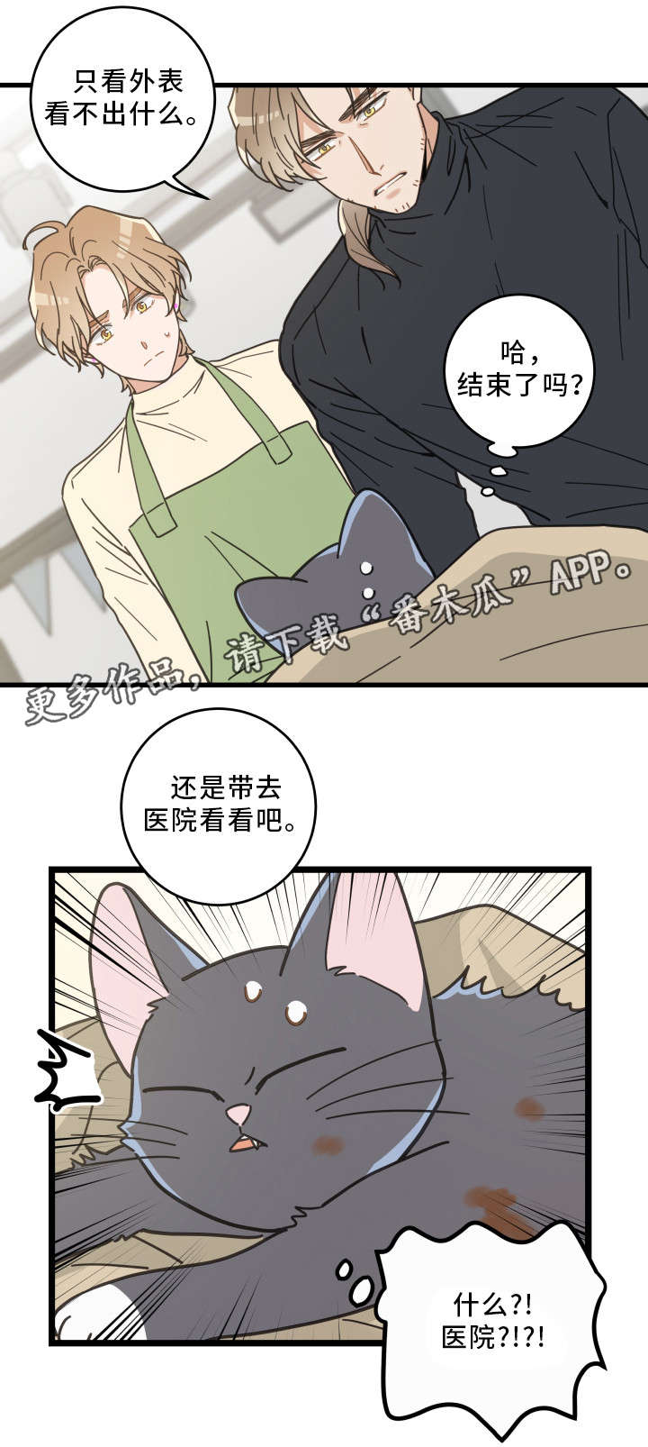 亲爱的喵君第32话图