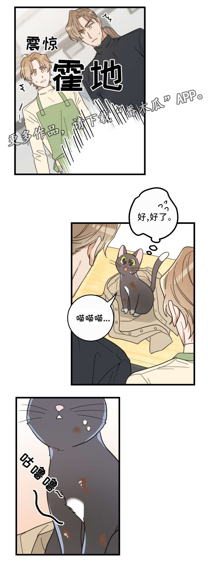 亲爱的喵君第33话图