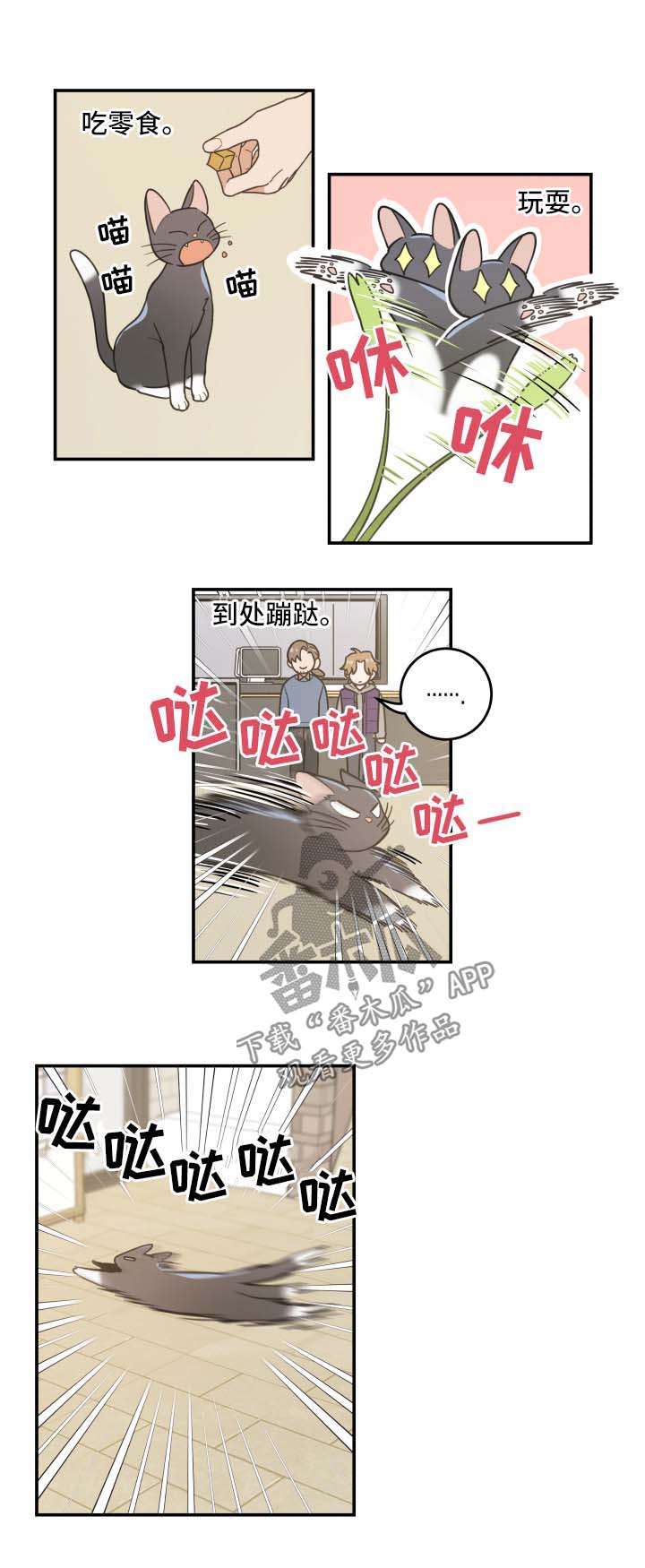 亲爱的喵君第44话图