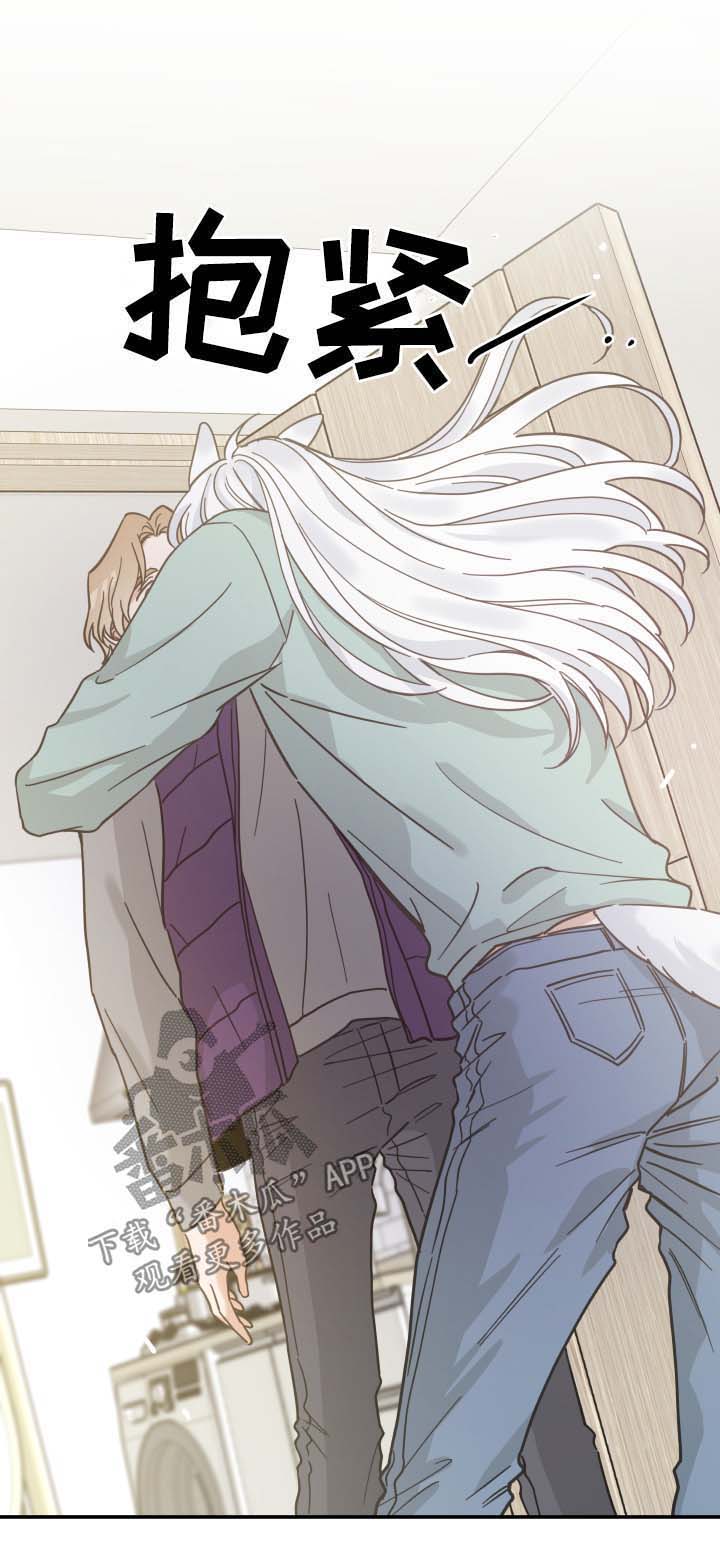 亲爱的喵君第44话图