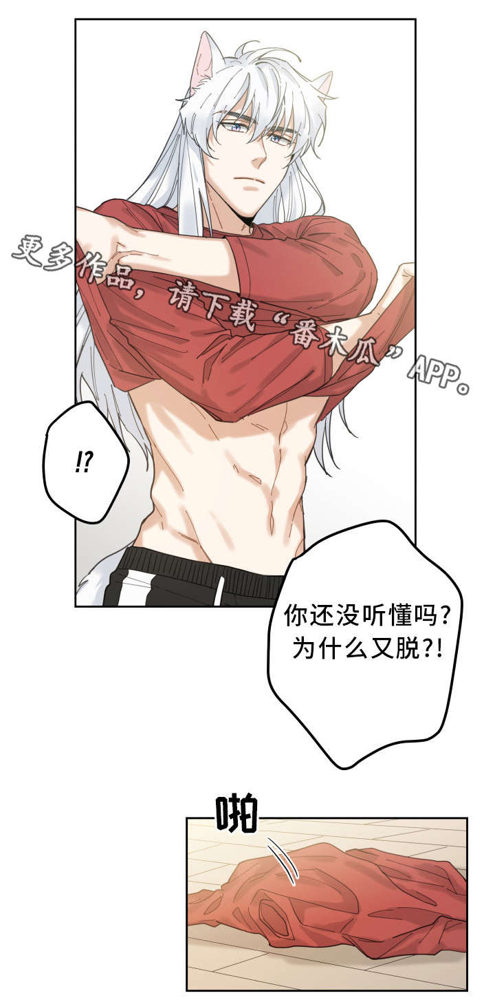 亲爱的喵君第8话图