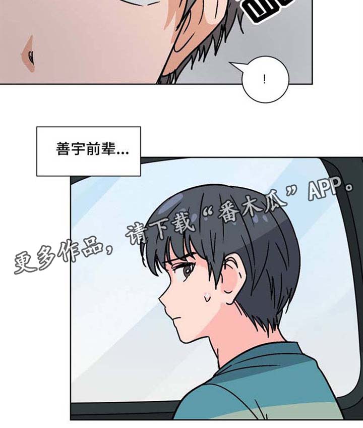 前辈的心意第31话图