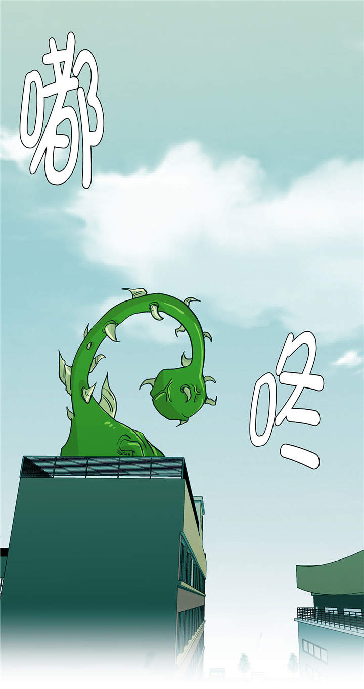 奇妙的动物高中第36话图