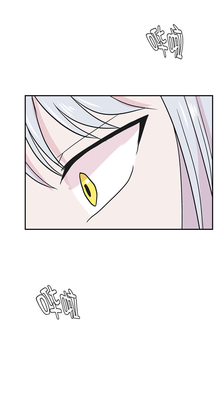 奇妙的动物高中第50话图