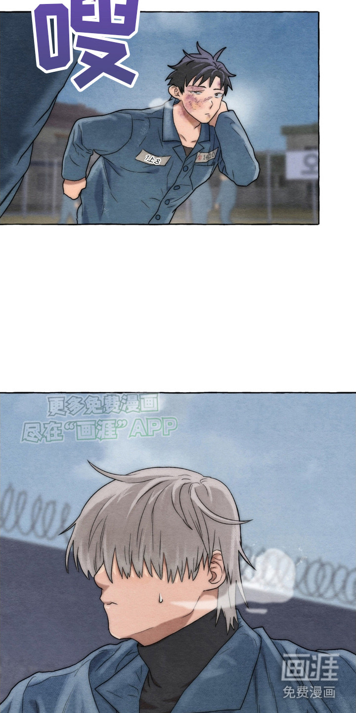 囚狱宠儿第10话图