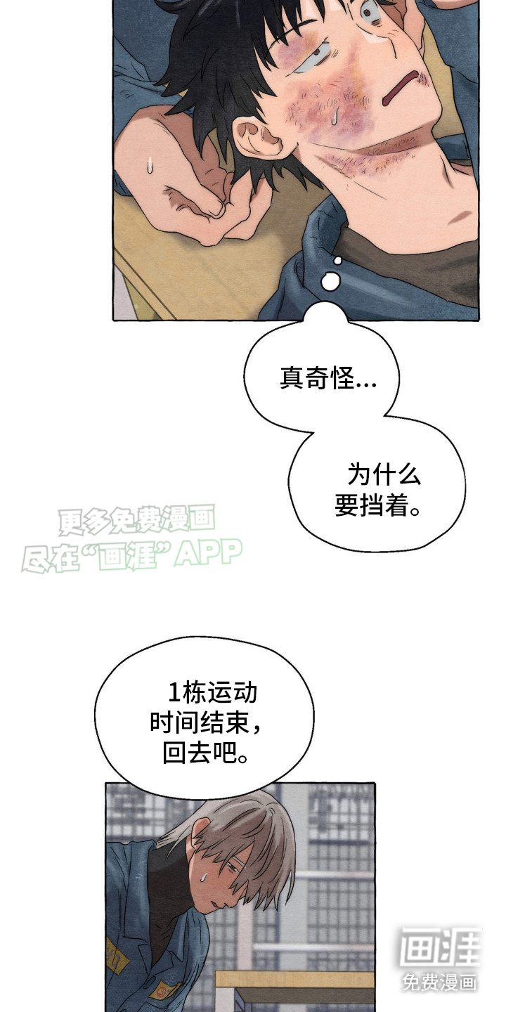 囚狱宠儿第11话图