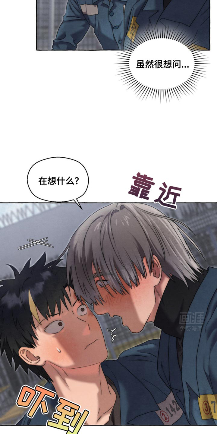 囚狱宠儿第48话图