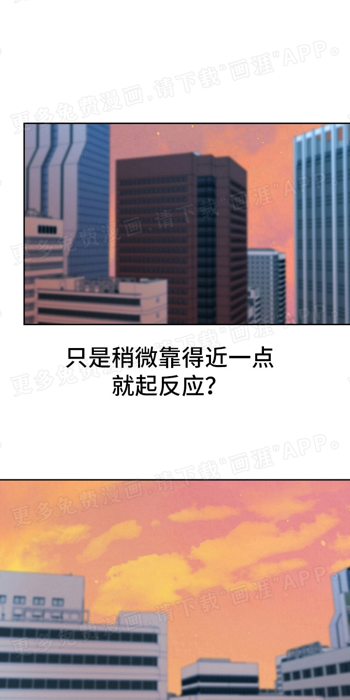 前男友的爱人第17话图