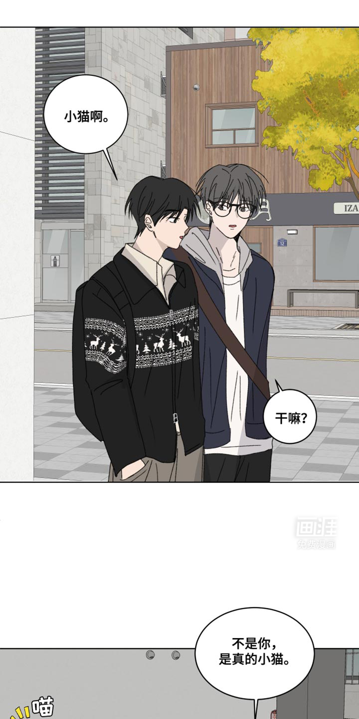 缺少浪漫第38话图