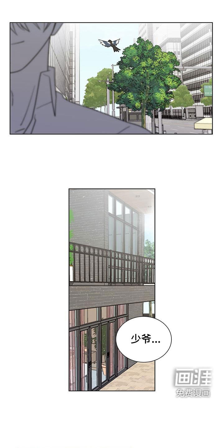 鹊蛇之争第20话图