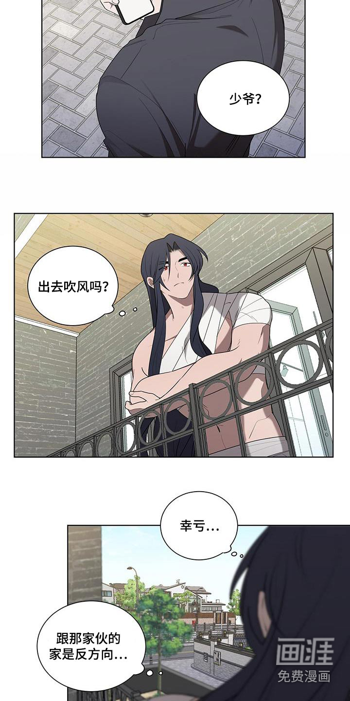 鹊蛇之争第49话图